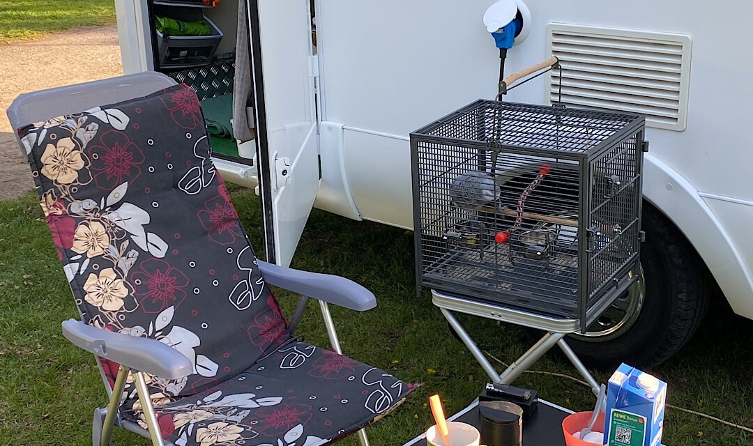 Campingplatz Pappelbucht Galeriebild