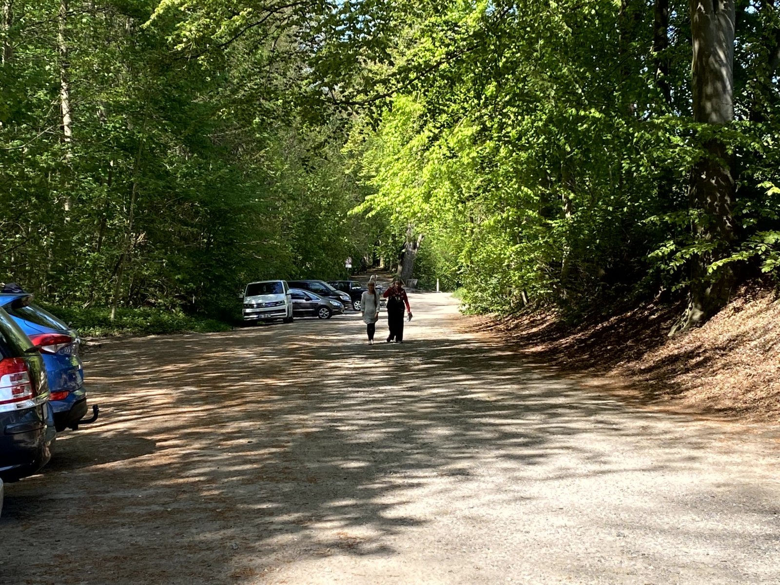 Naturpark-Camping Prinzenholz Galeriebild